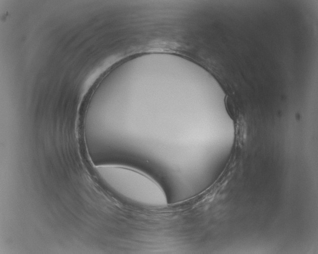 X0000052610292200507010946