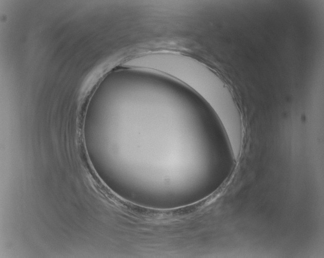 X0000052610293200507010946