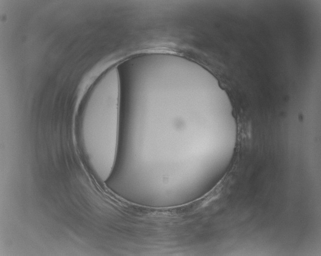 X0000052610294200507010946