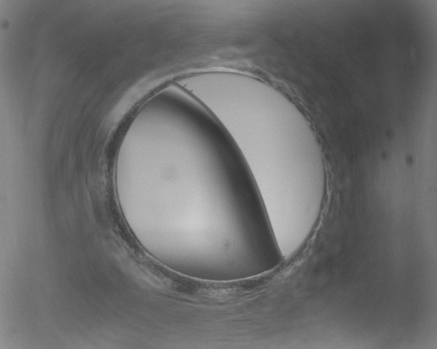 X0000052610295200507010946