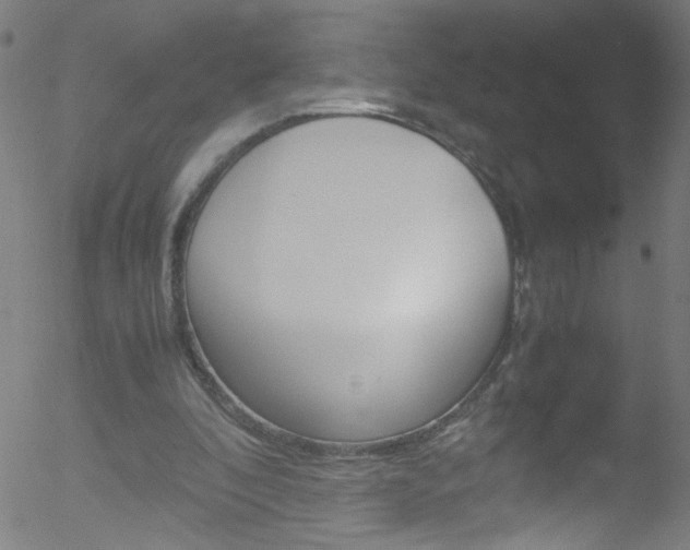 X0000052610296200507010946