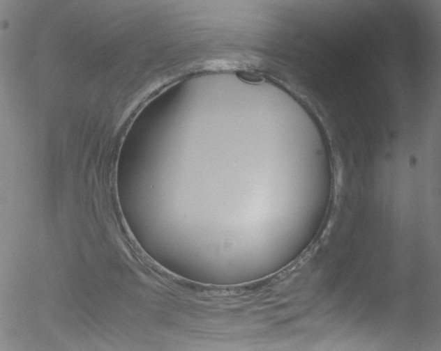 X0000052610297200507010946