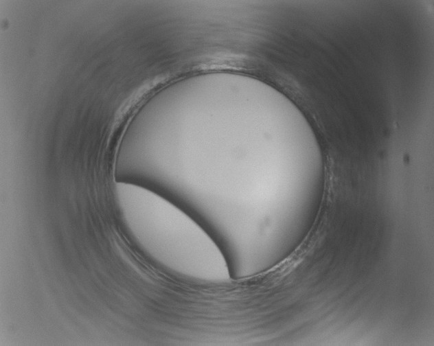 X0000052610298200507010946