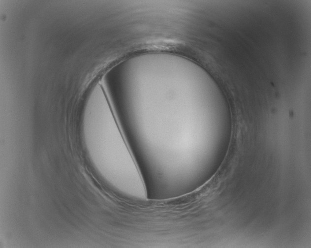 X0000052610299200507010946