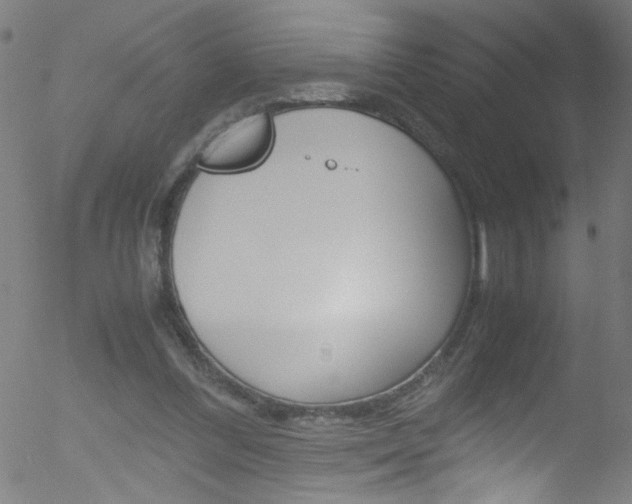 X0000052610300200507010946