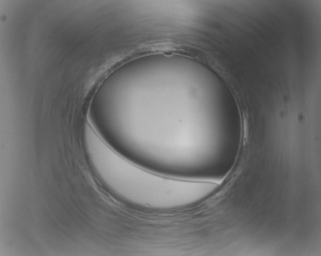 X0000052610301200507010946