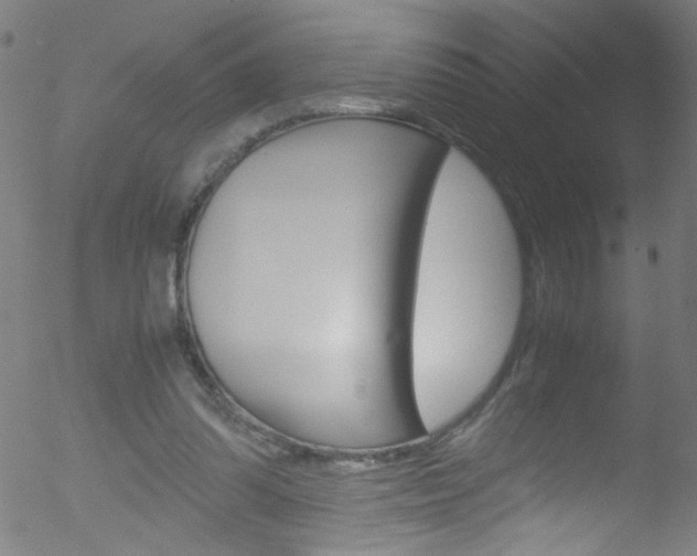 X0000052610302200507010946