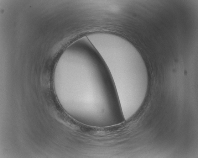 X0000052610303200507010946