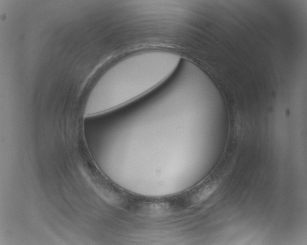 X0000052610304200507010946