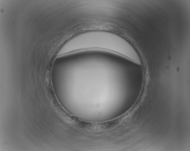 X0000052610305200507010945