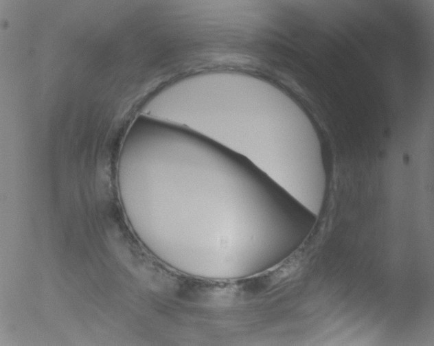 X0000052610306200507010945