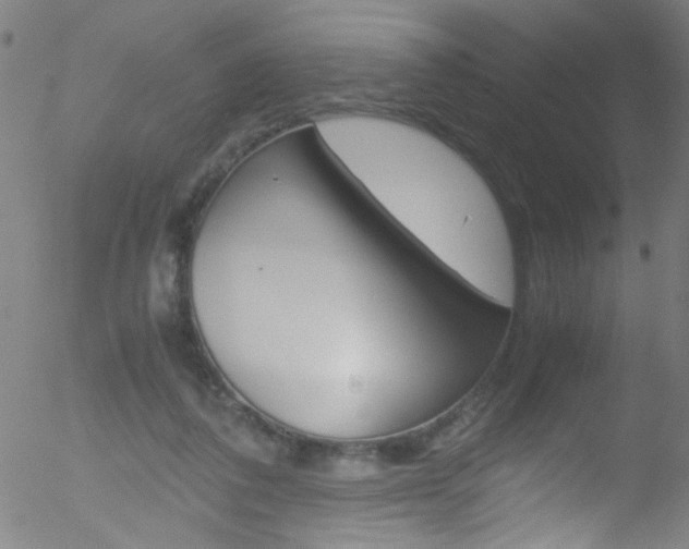 X0000052610308200507010945