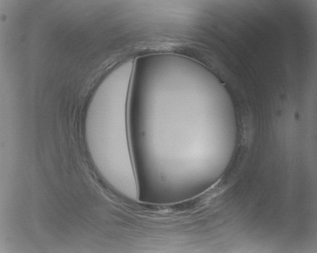 X0000052610309200507010945