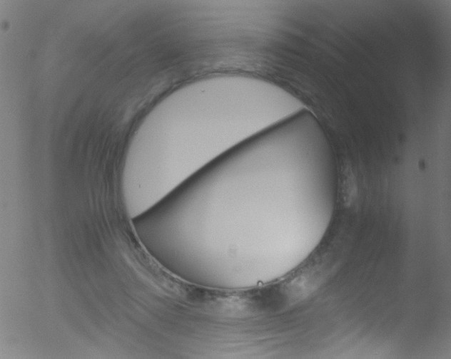 X0000052610310200507010945