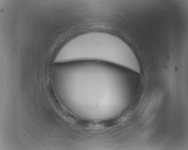 X0000052610311200507010945