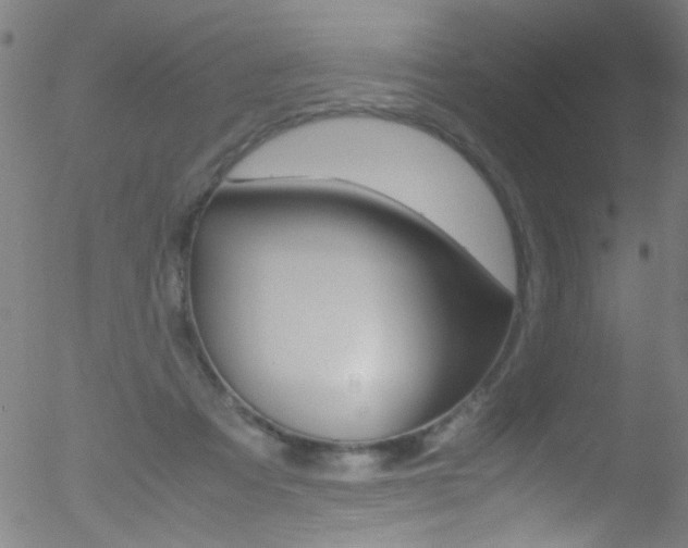 X0000052610313200507010945