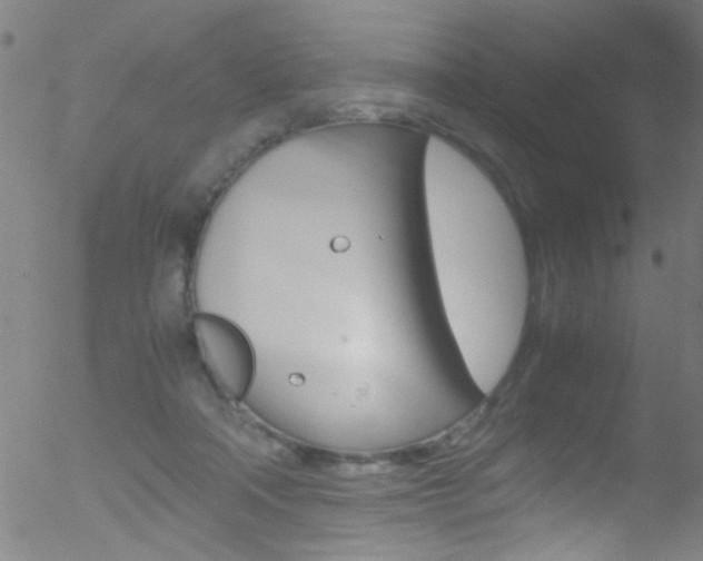 X0000052610314200507010945