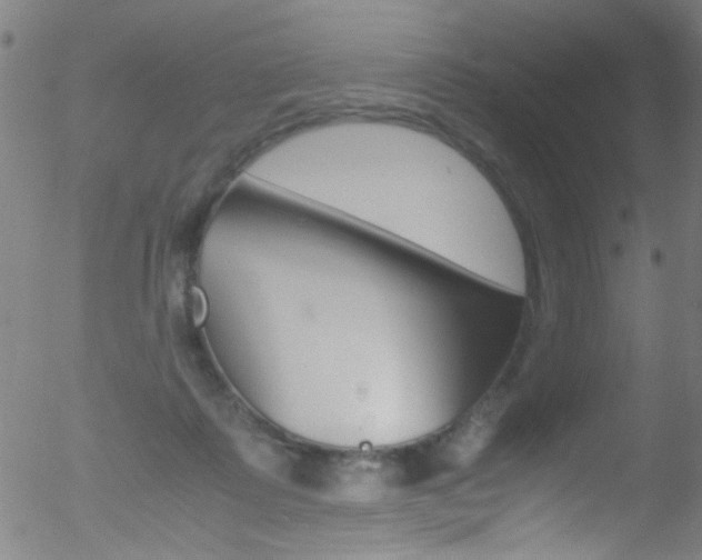 X0000052610315200507010945