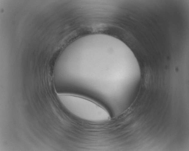 X0000052610316200507010945