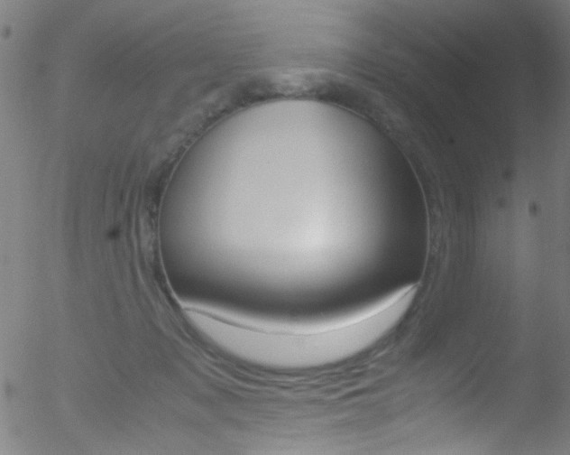 X0000052610317200507010945