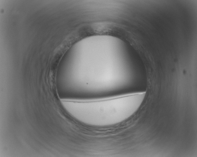 X0000052610319200507010945