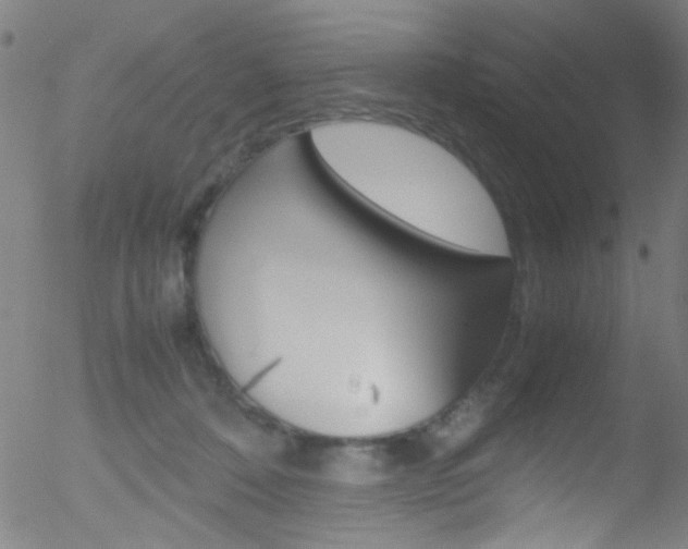 X0000052610320200507010945