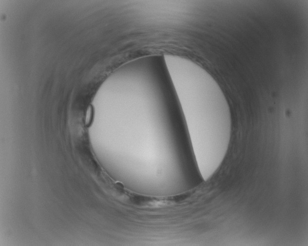 X0000052610323200507010945