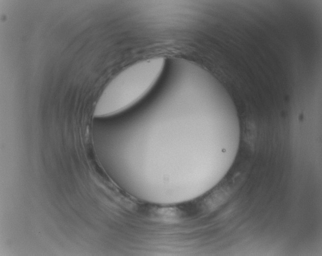 X0000052610324200507010945