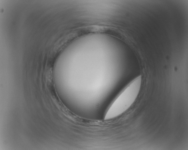 X0000052610325200507010945