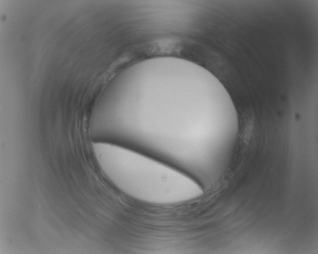 X0000052610326200507010945