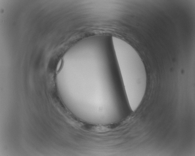 X0000052610327200507010945