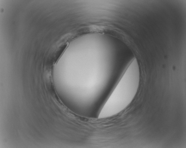 X0000052610329200507010945