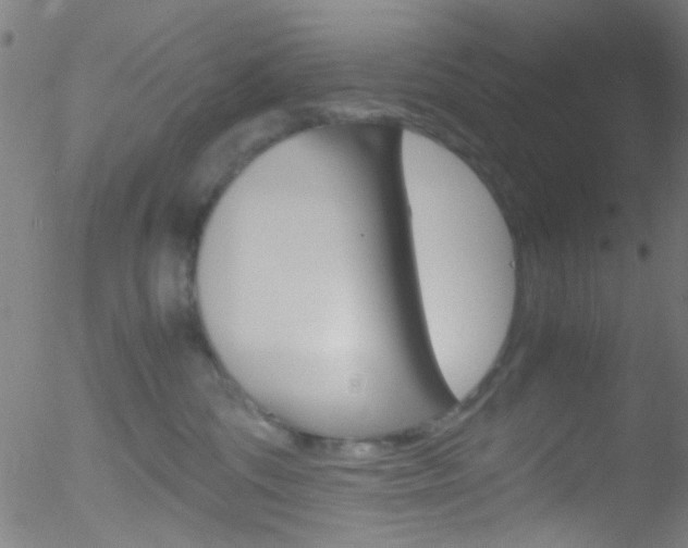 X0000052610330200507010945