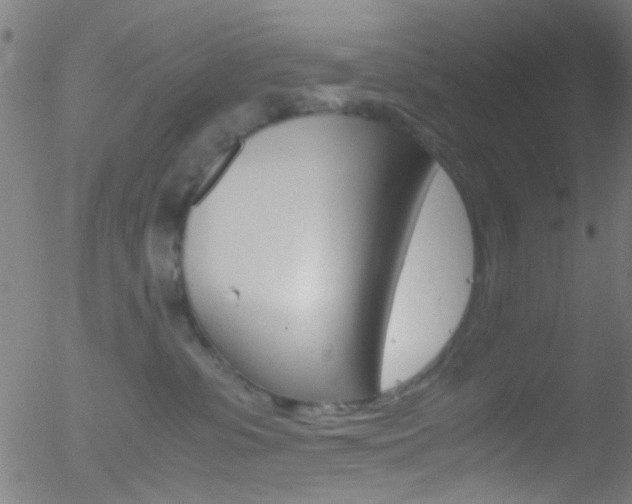 X0000052610331200507010945