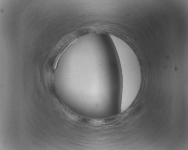 X0000052610333200507010945