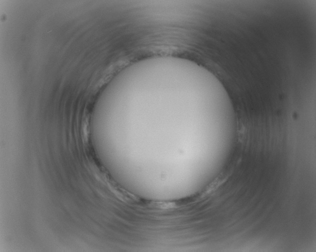 X0000052610334200507010945