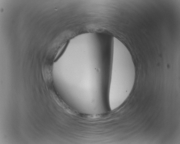 X0000052610335200507010945