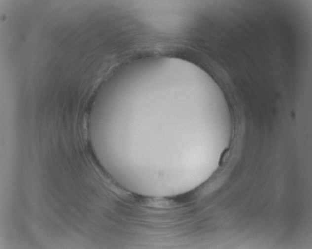 X0000052610336200507010945