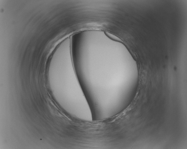 X0000052610338200507010944