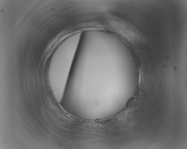 X0000052610339200507010944