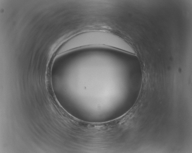 X0000052610340200507010944