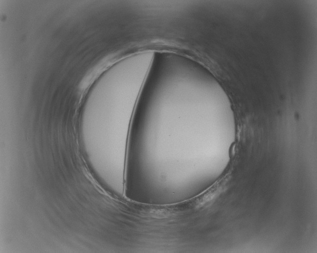 X0000052610341200507010944