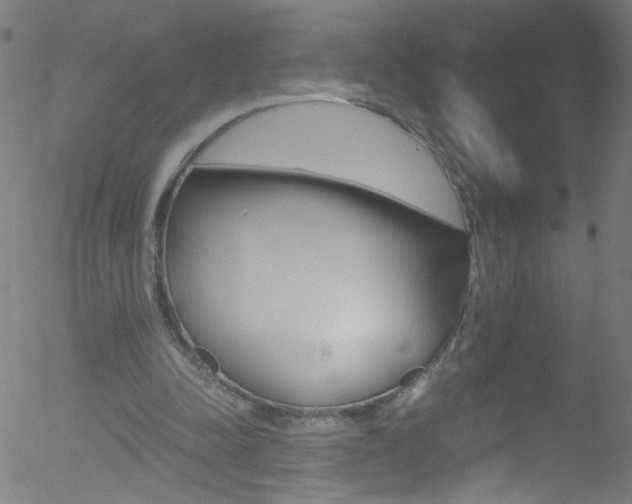 X0000052610342200507010944