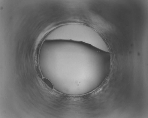 X0000052610343200507010944