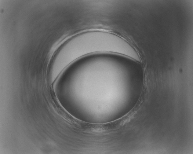 X0000052610344200507010944