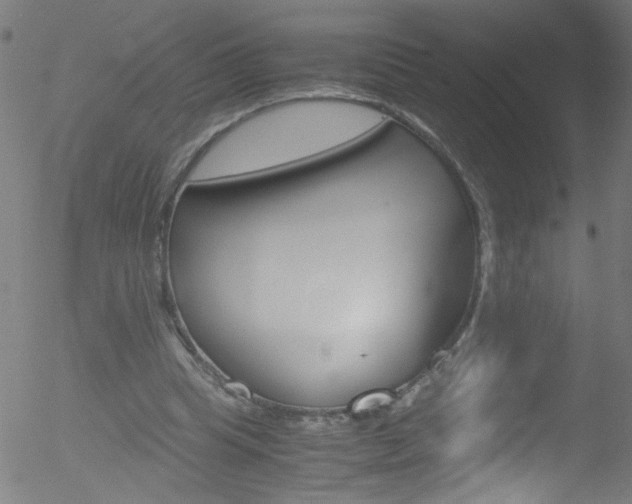 X0000052610345200507010944