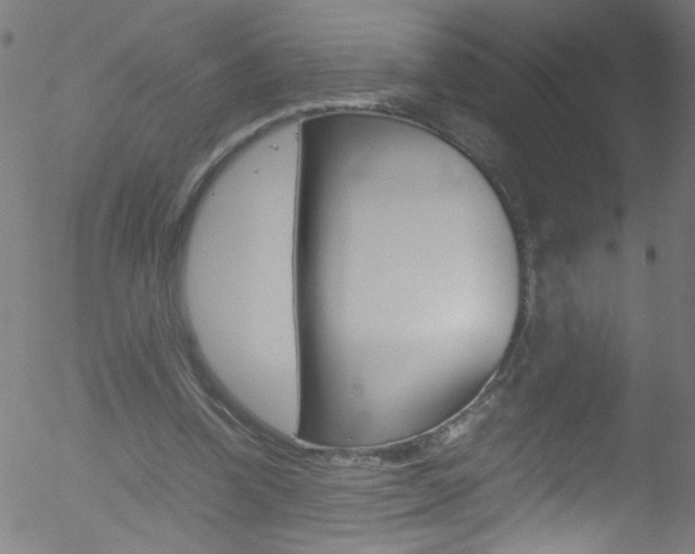 X0000052610346200507010944