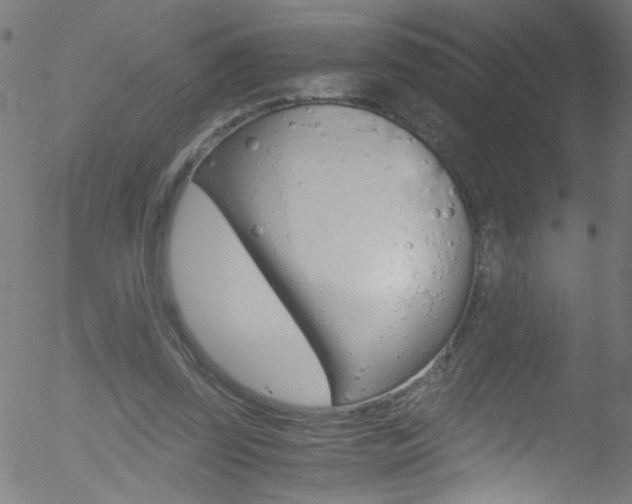 X0000052610347200507010944