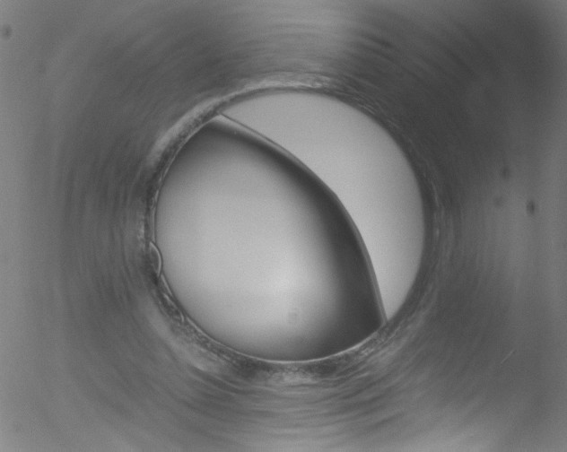 X0000052610348200507010944