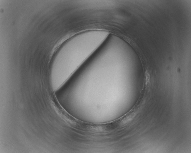 X0000052610349200507010944